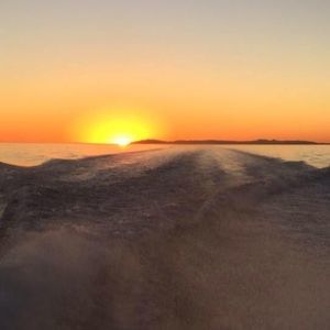 Meet your Posher, Sue